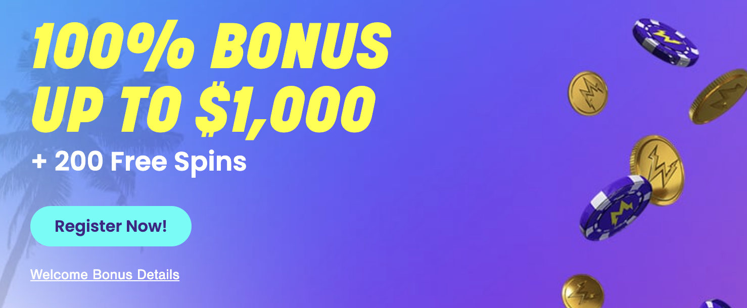 Wildz Casino Interface